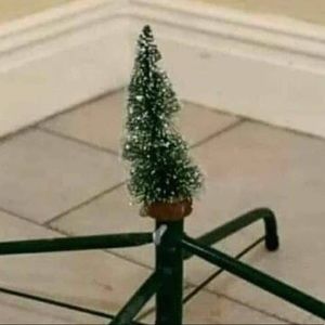 Meet your Posher, Berenice